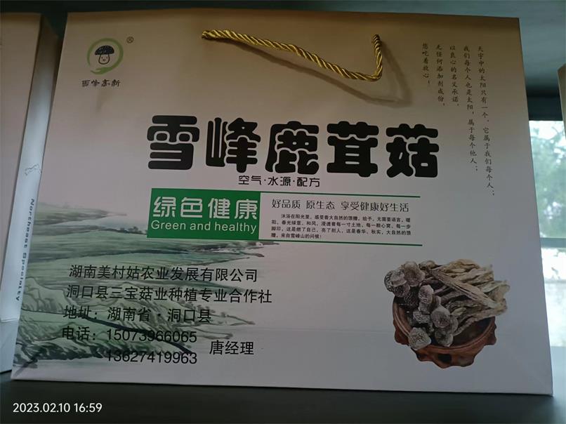鹿茸菇基地